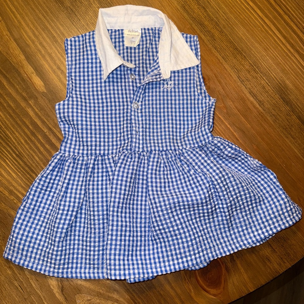 Blue Gingham Kids Casual Dress